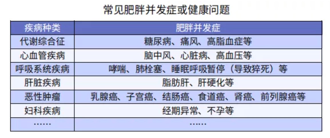 太胖被拒保怎么辦？