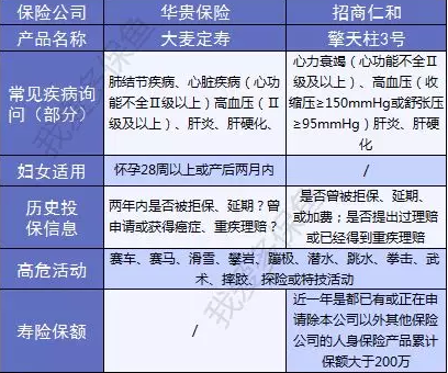  擎天柱3號：價格不僅便宜還送你保障